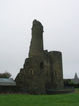 24189 Ferns Castle.jpg